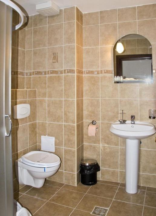 Hanul Domnesc Han 3*